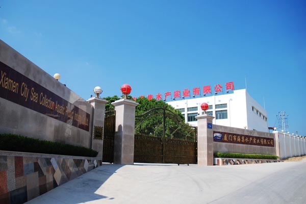 公司大门